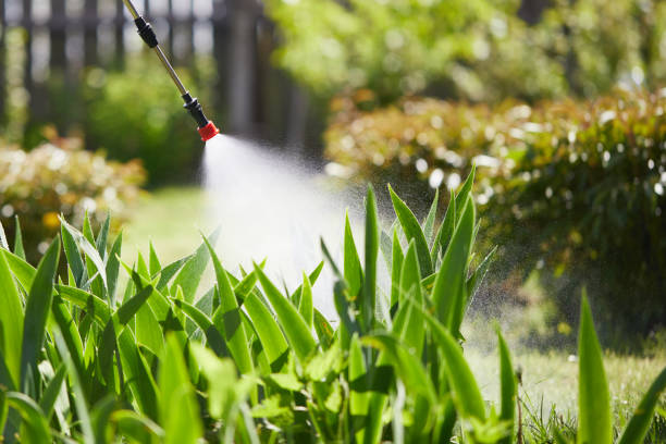 Tamper-Resistant Bait Stations for Rodents in Lubeck