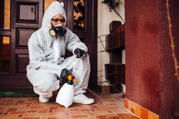 Attic and Crawl Space Rodent Treatment in Lubeck